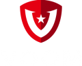 voom_logo3